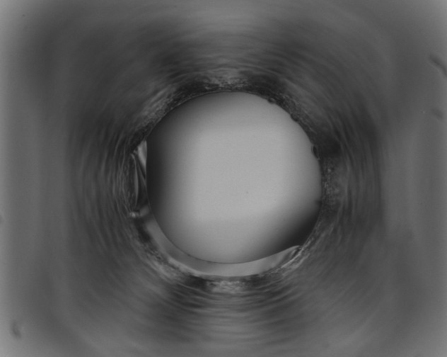 X0000097800132200803281044