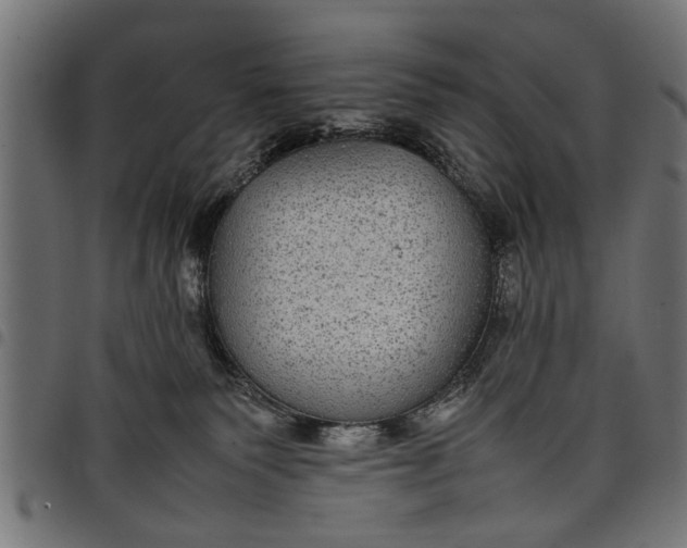 X0000097800135200803281043