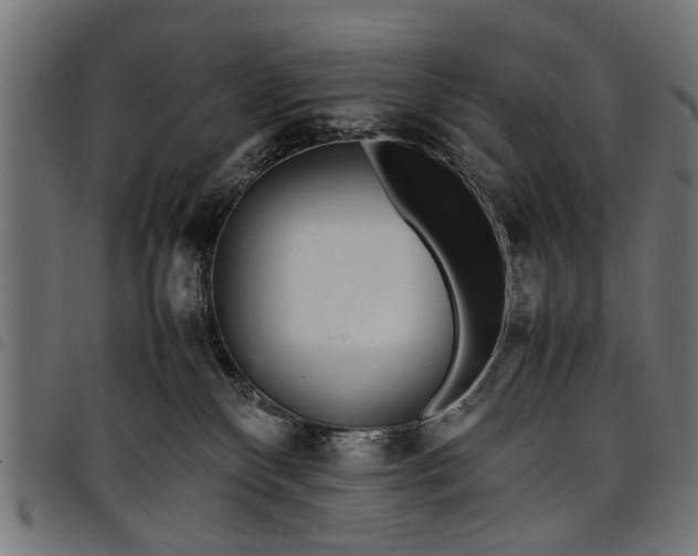 X0000097800136200803281043