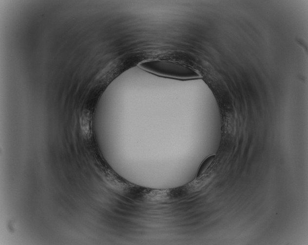 X0000097800138200803281043