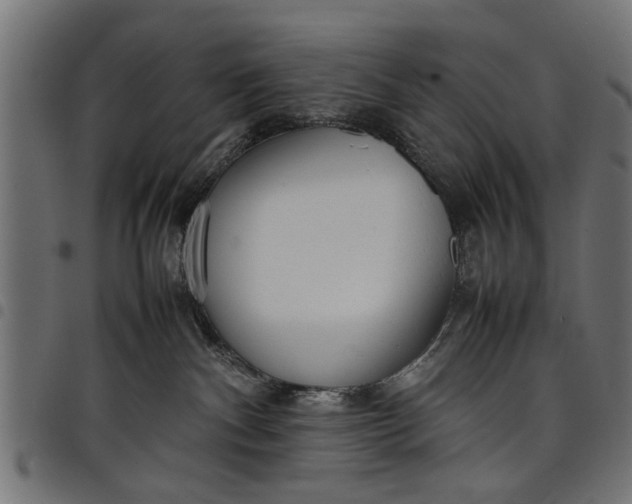 X0000097800140200803281043