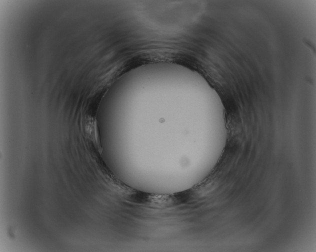 X0000097800141200803281043