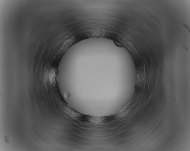 X0000097800142200803281043