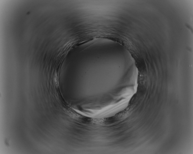 X0000097800143200803281043