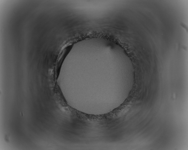 X0000097800144200803281043