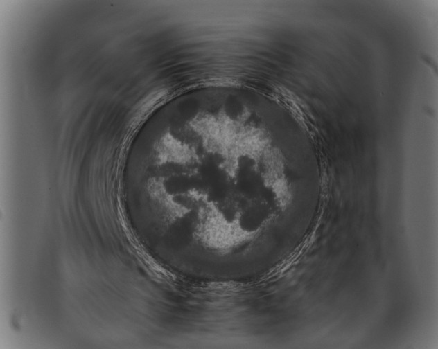 X0000097800145200803281043