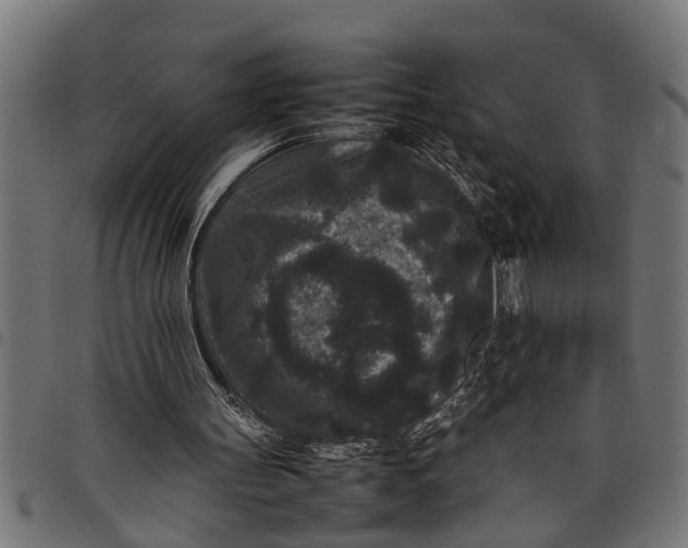 X0000097800147200803281043