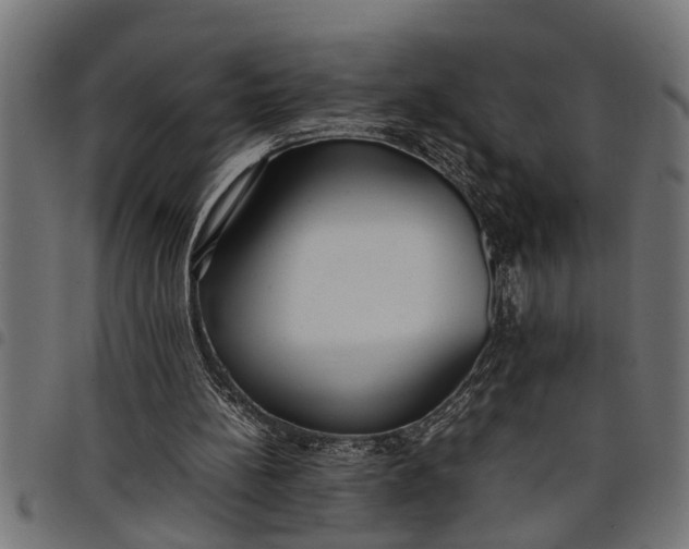 X0000097800148200803281043