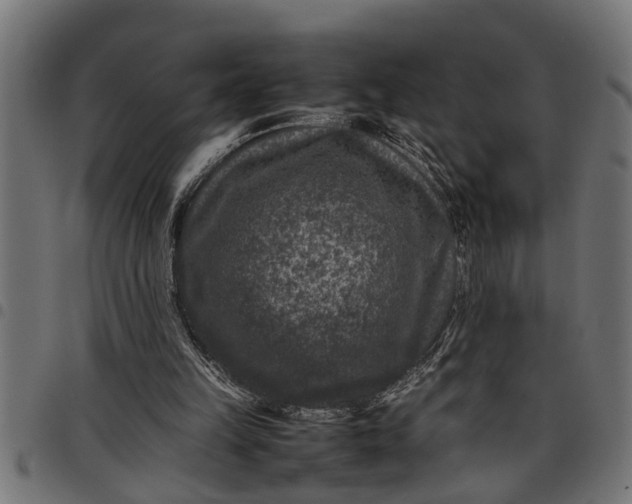 X0000097800149200803281043