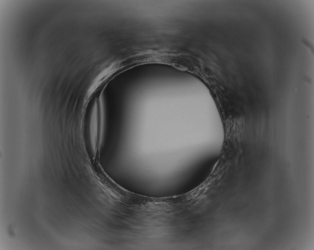 X0000097800150200803281043