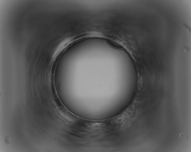 X0000097800151200803281043