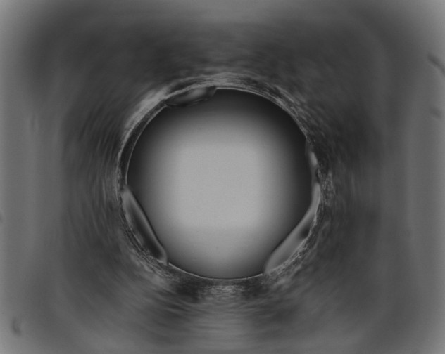 X0000097800152200803281043