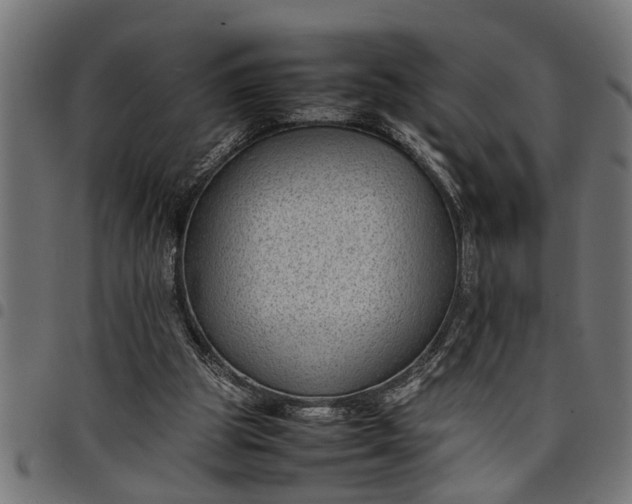 X0000097800153200803281043