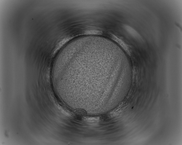 X0000097800155200803281043