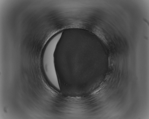 X0000097800156200803281043