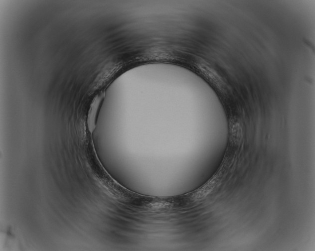 X0000097800158200803281043