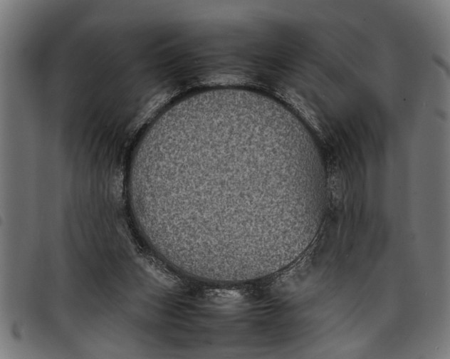 X0000097800159200803281043