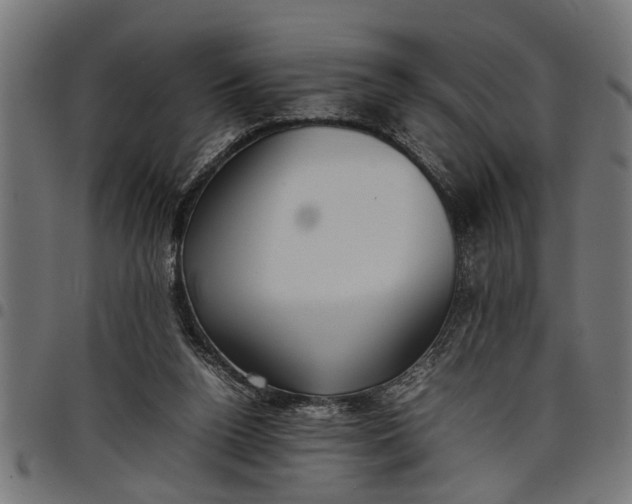 X0000097800160200803281043