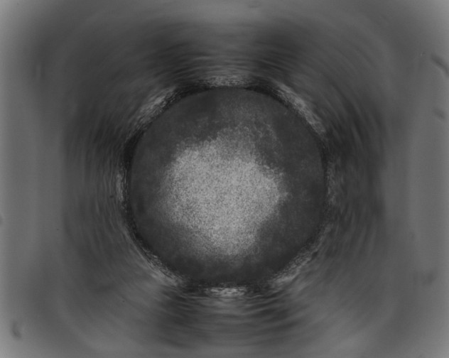 X0000097800161200803281043