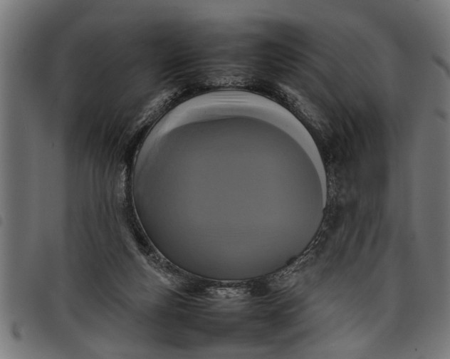 X0000097800163200803281043