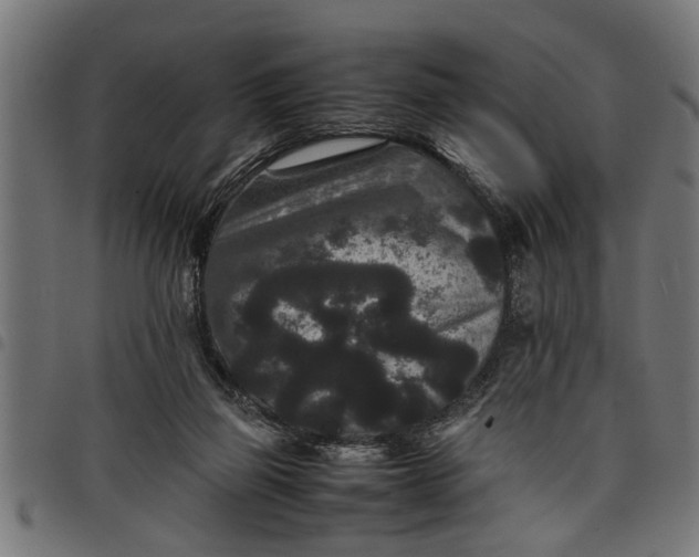 X0000097800165200803281043