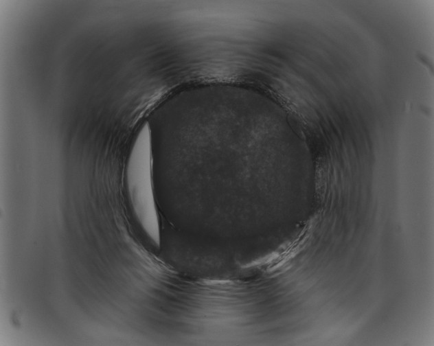 X0000097800168200803281043