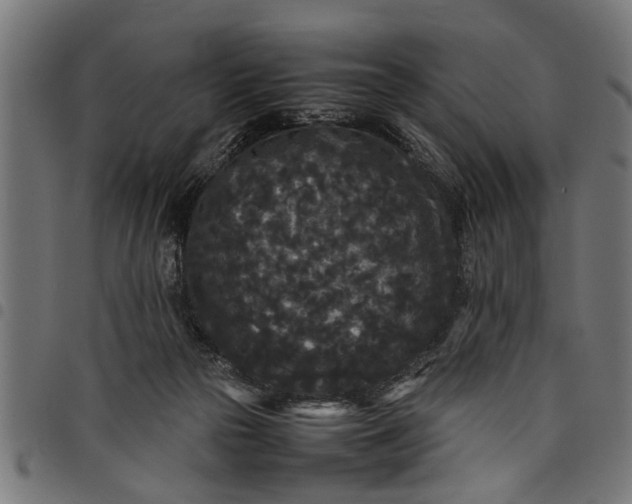 X0000097800169200803281043