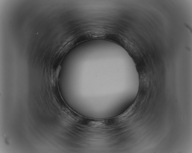 X0000097800170200803281043