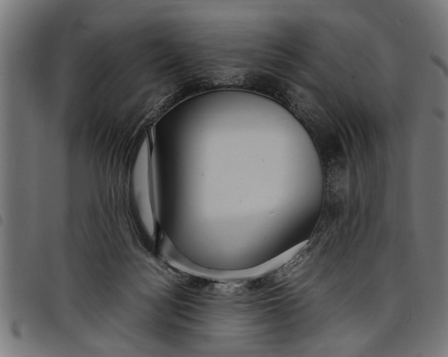 X0000097800172200803281043