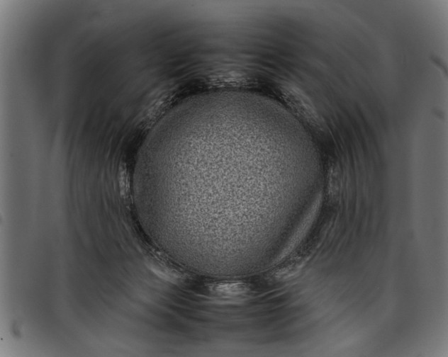 X0000097800173200803281043