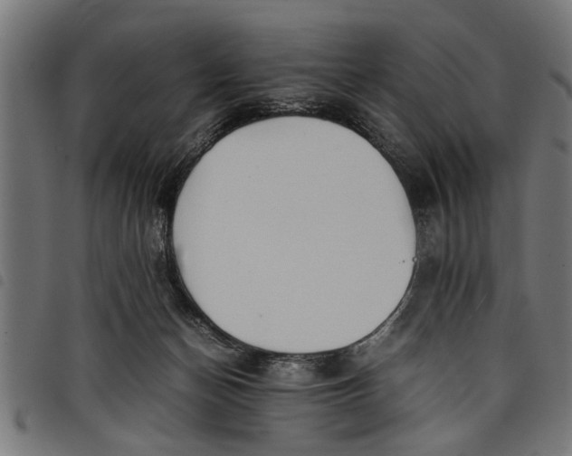 X0000097800174200803281043