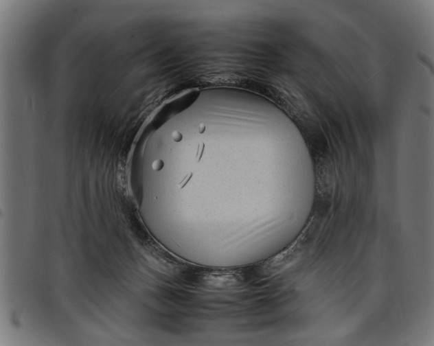 X0000097800175200803281043