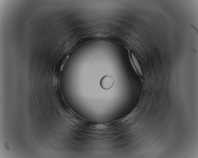 X0000097800176200803281043