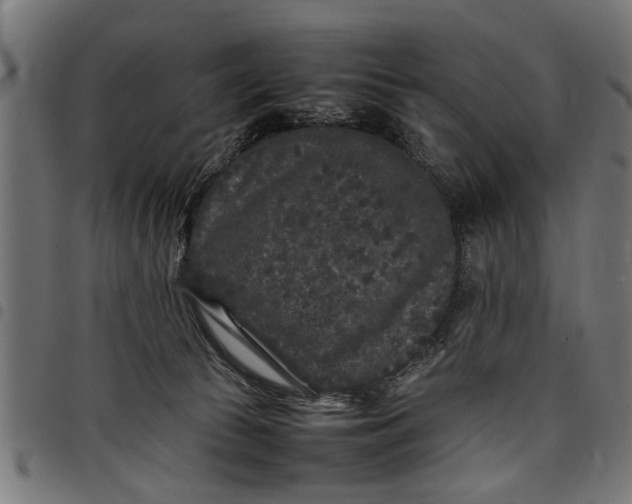 X0000097800177200803281043