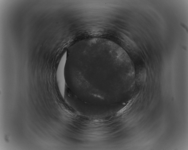 X0000097800180200803281043