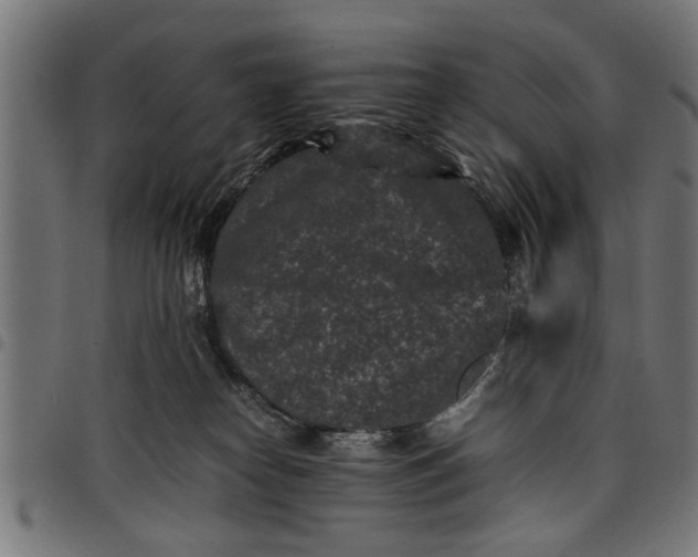 X0000097800182200803281043