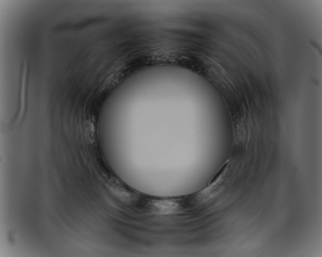 X0000097800183200803281043