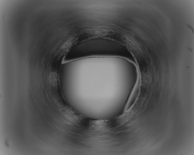 X0000097800184200803281043