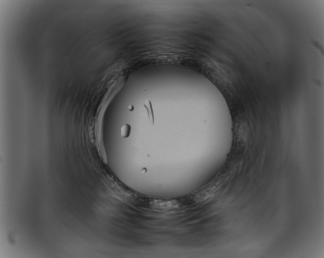 X0000097800185200803281043