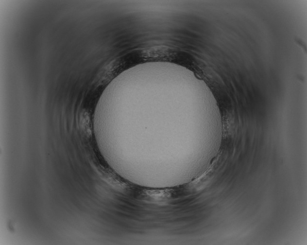 X0000097800187200803281043