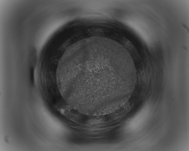 X0000097800189200803281043