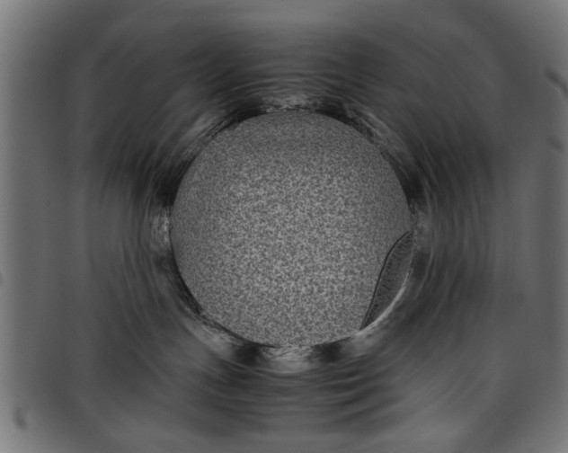 X0000097800191200803281043