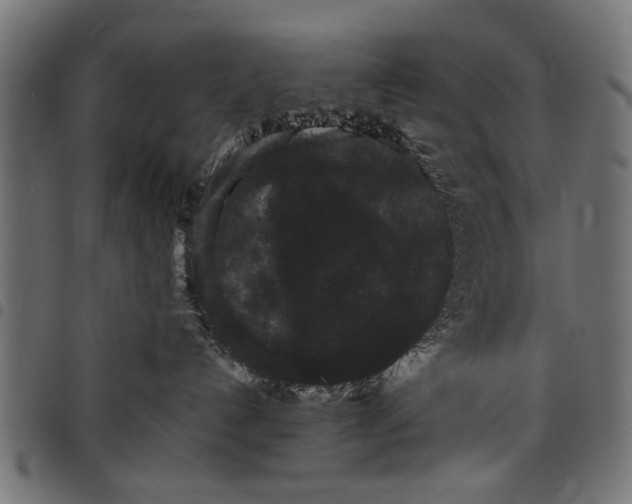 X0000097800192200803281043