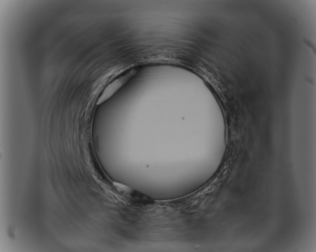 X0000097800193200803281043