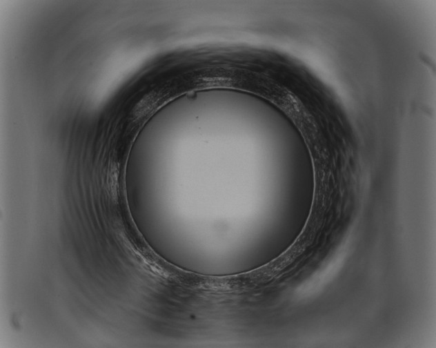 X0000097800194200803281043