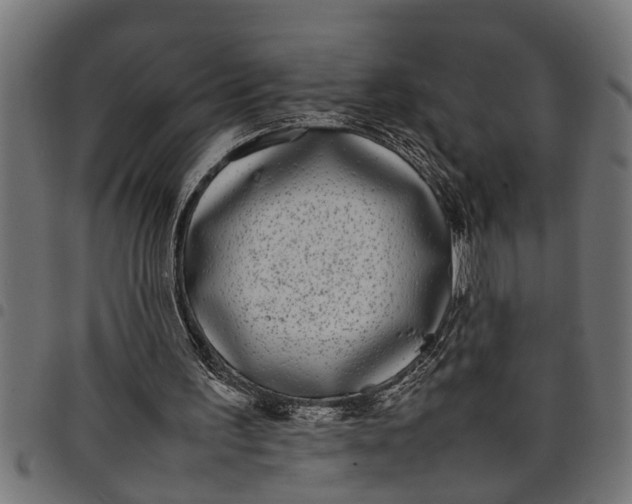 X0000097800195200803281043