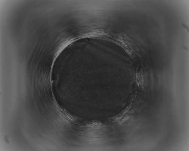 X0000097800196200803281043