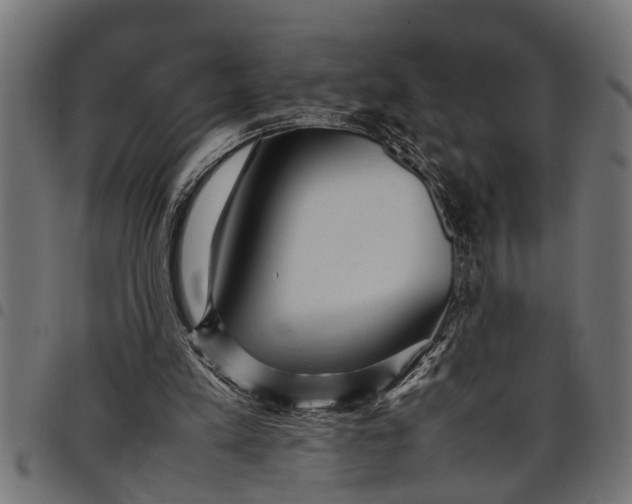 X0000097800197200803281043