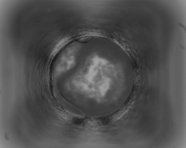 X0000097800199200803281043