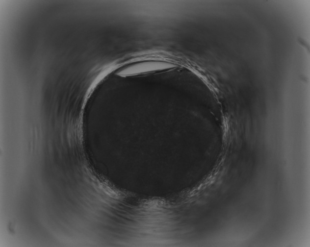 X0000097800200200803281043